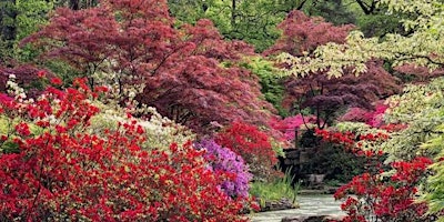 Imagem principal de Garden Visit - Exbury Gardens