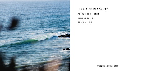 Imagen principal de Limpia de playa #81
