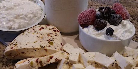 THREE CHEESES IN 2 HRS - Yogurt, Cottage Cheese, Cheese Curds primary image