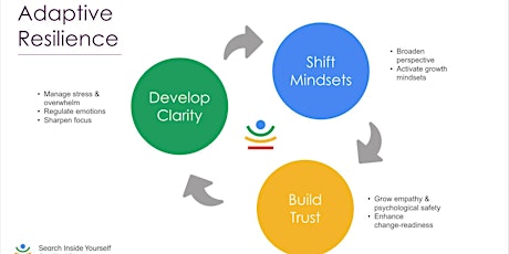 Adaptive Resilience: Mindfulness & Emotional Intelligence for change