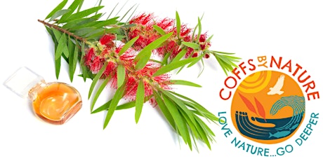 Coffs By Nature- Flower Essences primary image