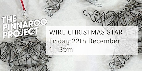 Wire Christmas Star primary image