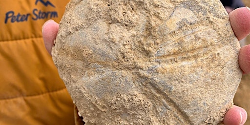 Immagine principale di Home Educators Workshop - Jurassic Fossil Handling at Market Hall Museum 
