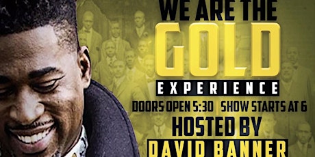 The Black Friday We Are The Gold Experience hosted by David Banner primary image