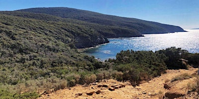 Image principale de La Costa degli Etruschi, trekking di tre giorni