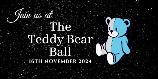 Primaire afbeelding van The Teddy Bear Ball 2024