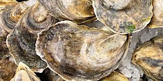 Imagem principal de Premiere Series: Merroir—The Wonderful  World of Oysters