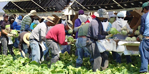 Hauptbild für Food Safety Supervisor Training