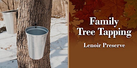 Family Maple Tapping | Lenoir Preserve primary image