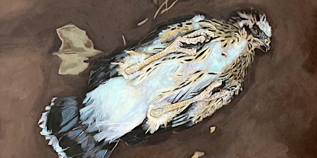 Fur, Feathers, Scales, Skin: Animal Painting in a Weekend w/Natalie Voelker