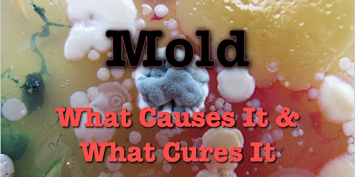 Mold, What Causes and Cures it  -  FREE 1 Hour Credit Cont. Education(NREC) primary image