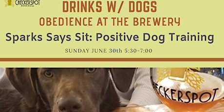 Drinks with Dogs- Obedience at the Brewery-August primary image