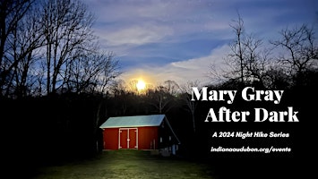 Mary Gray After Dark Series  primärbild