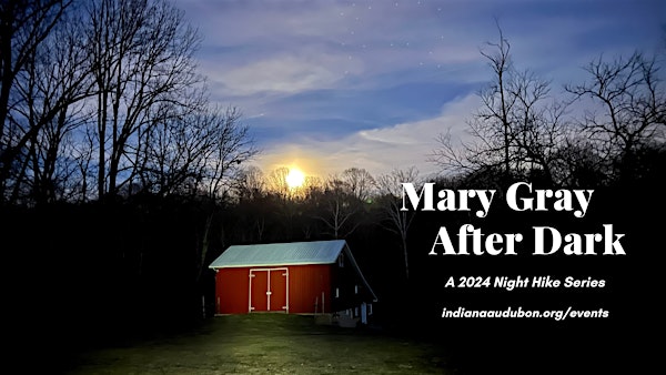 Mary Gray After Dark Series