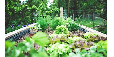 Frederick County Master Gardener: Planting the Spring Vegetable Garden primary image