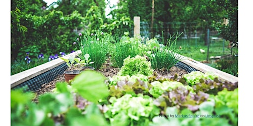 Hauptbild für Frederick County Master Gardener: Integrated Pest Management (IPM)