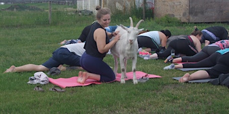 Goodness and Goats Yoga