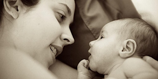 Hauptbild für SPH Virtual Prenatal Workshop - Postpartum and Baby Care with Melanie