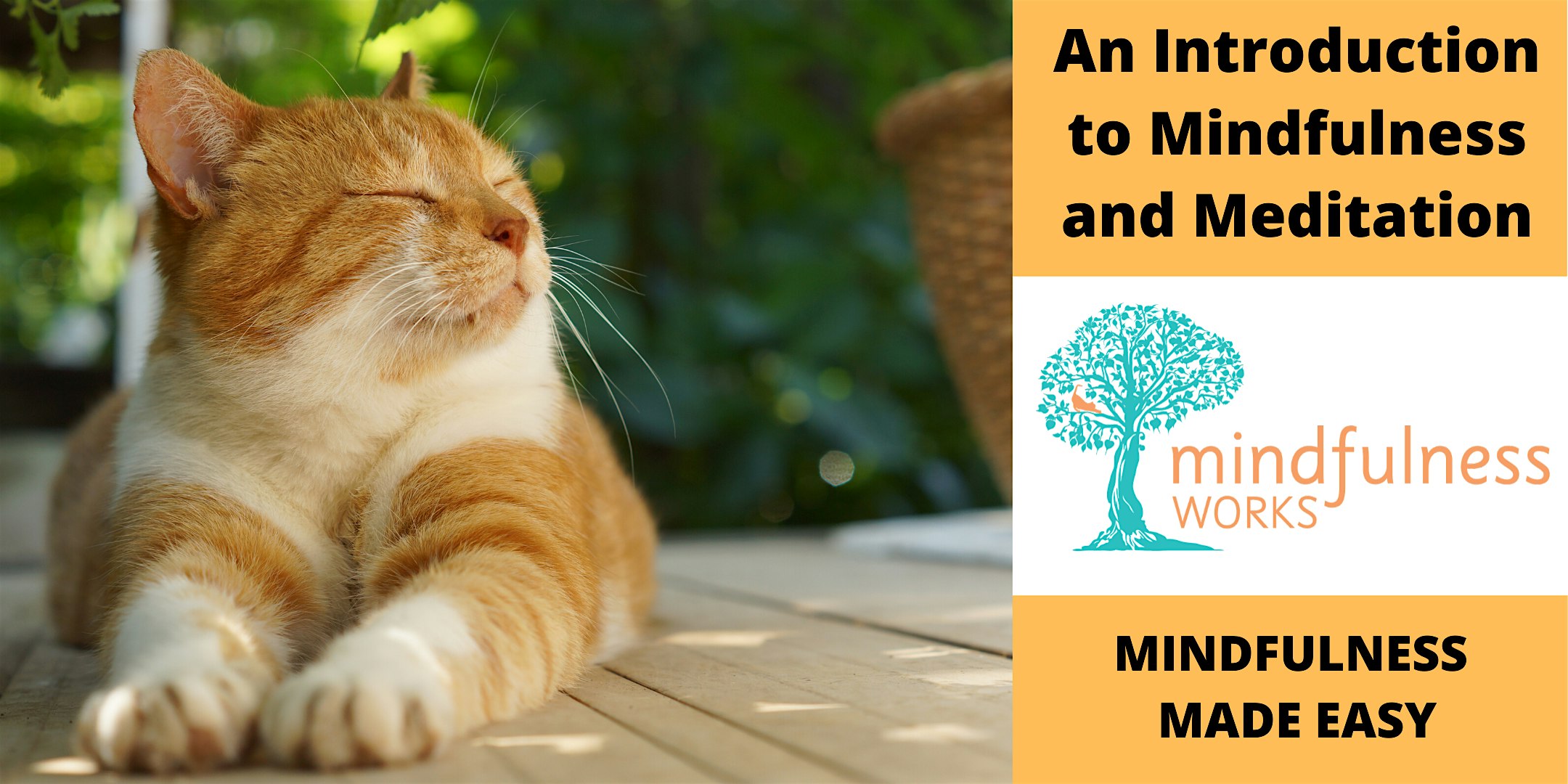 An Introduction to Mindfulness and Meditation 4-week Course \u2014 Box Hill
