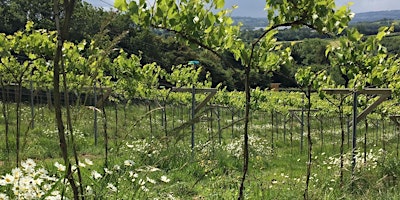 Imagem principal de Introduction to Biodynamic Winegrowing, Bristol - 1 Day Workshop