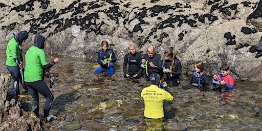 Hauptbild für Snorkel Safari