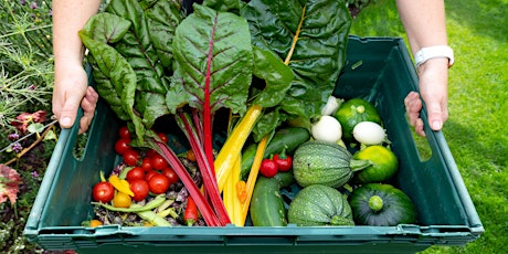 Organic Food Growing for Beginners - Workshop