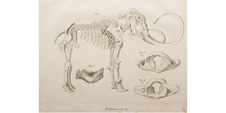 Out of Ice: the History of Frozen Mammoths and the Future of Climate Change