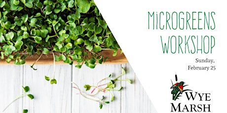 Microgreens Workshop primary image
