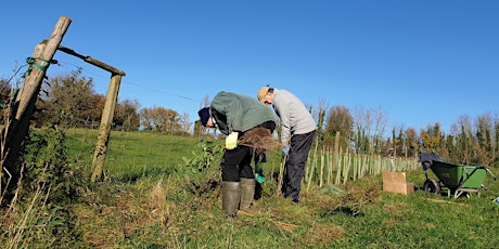 Hedge Mulching Action Day - The Hampshire Hedge Friday  10th May