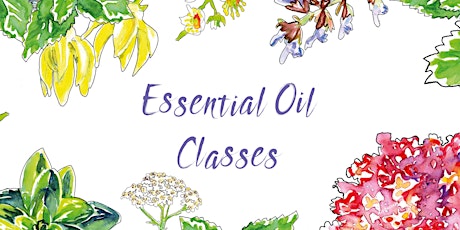 doTERRA Essential Oil Class - Hammersmith primary image