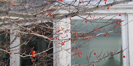 Tree ID Walk - Winter (Bilingual-English/Spanish) primary image