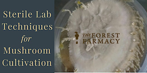 Imagem principal de Sterile Lab Techniques for Mushroom Cultivation