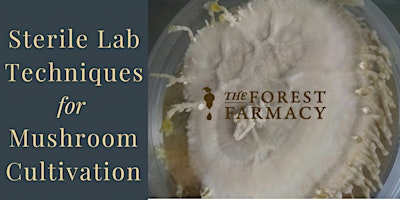 Sterile Lab Techniques for Mushroom Cultivation primary image
