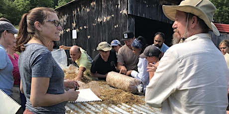 Backyard Mushrooms: Growing, Wild Harvesting and Medicine Making October