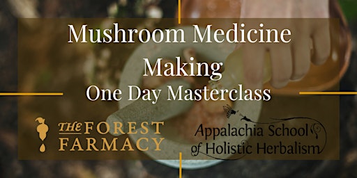 Immagine principale di Mushroom Medicine Making Masterclass May 