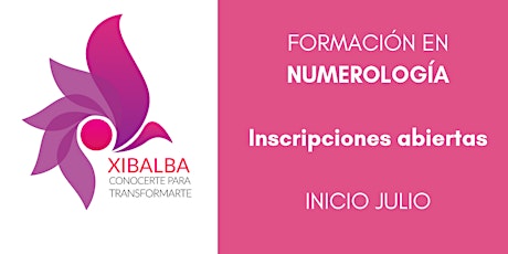 Imagen principal de Numerología (Clase Introductoria)