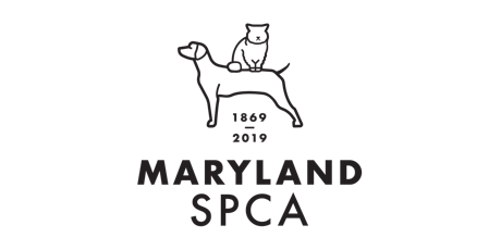  MD SPCA Volunteer Orientation 7/28/19 primary image