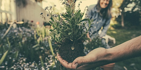 The Flower & Produce Show 2019 primary image