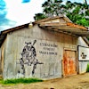 Cheatham Street Warehouse's Logo