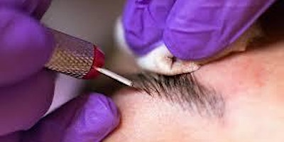 Jacksonville%2C+Fl%2C+Microblading-Shading+Certif