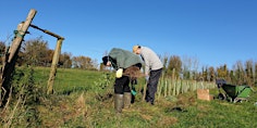 FINAL Hedge Planting Action Day - The Hampshire Hedge Thursday 28th March primary image