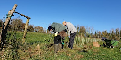 Primaire afbeelding van FINAL Hedge Planting Action Day - The Hampshire Hedge Thursday 28th March