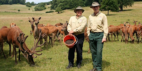 Park Ranger Deer Talk  primary image