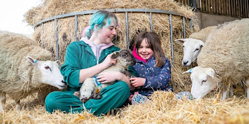 Lambing Sunday including Animal Unit Open Day – Broomfield Hall primary image