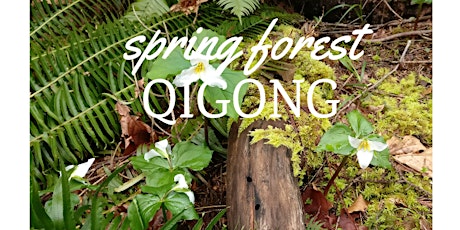 FREE EVENING - Spring Forest Qigong primary image