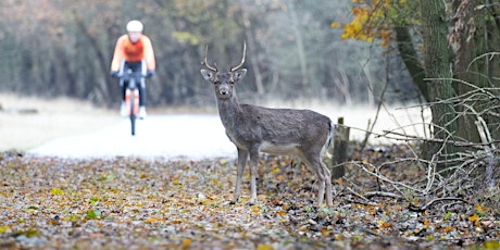 Start-up Founders Lunchtime Bike Ride + Coffee Social Richmond Park