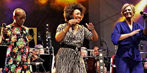 Primaire afbeelding van SWR Big Band  feat. Queens of Soul