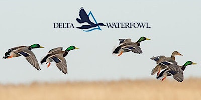 Imagem principal do evento Delta Waterfowl Tenn-Tom Banquet