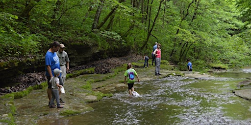 Imagem principal do evento Elk Lick Creek Exploration