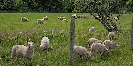 Ontario Sheep Convention 2019 primary image